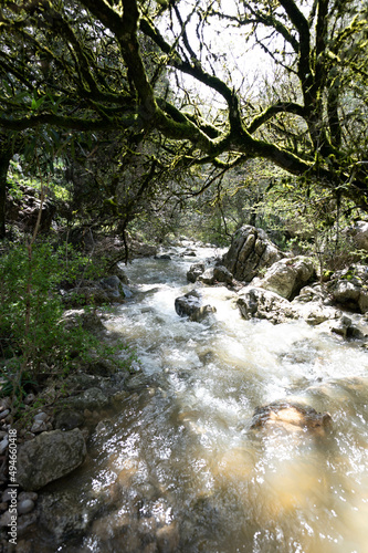 Rio con puene romano photo