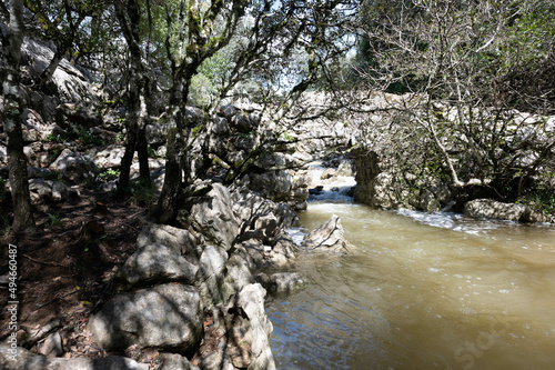 Rio con puene romano photo