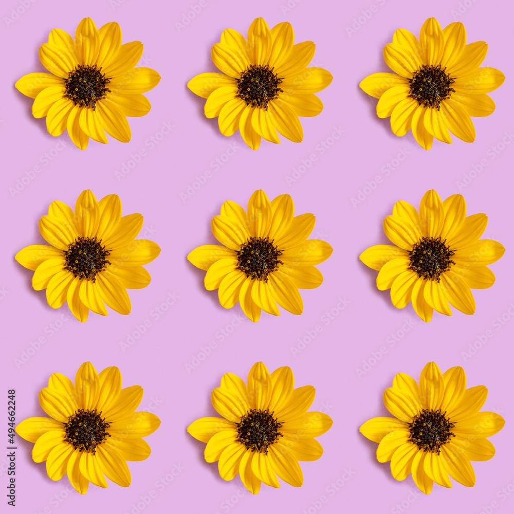Seamless pattern with yellow flower on purple background. Holiday background. Seamless pattern with yellow flower on purple background. Holiday background.