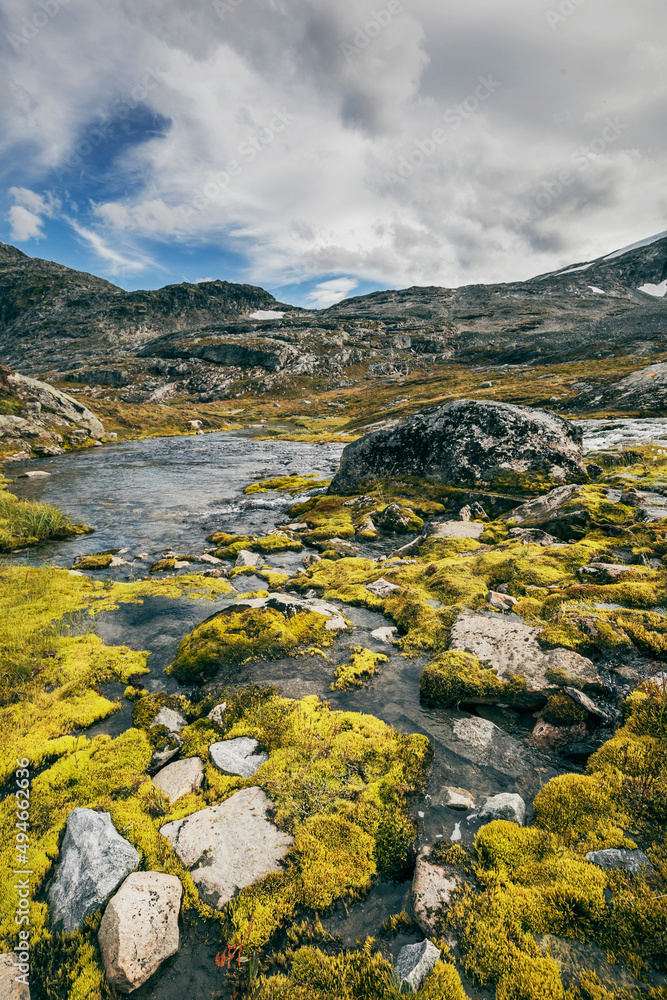 landscape at summertime with stream and green background in norway landscape at summertime with stream and green background in norway
