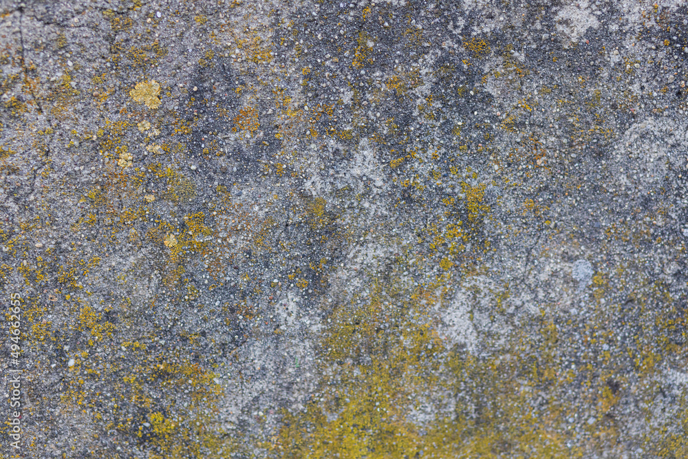 texture background rocks stone beach texture background rocks stone beach