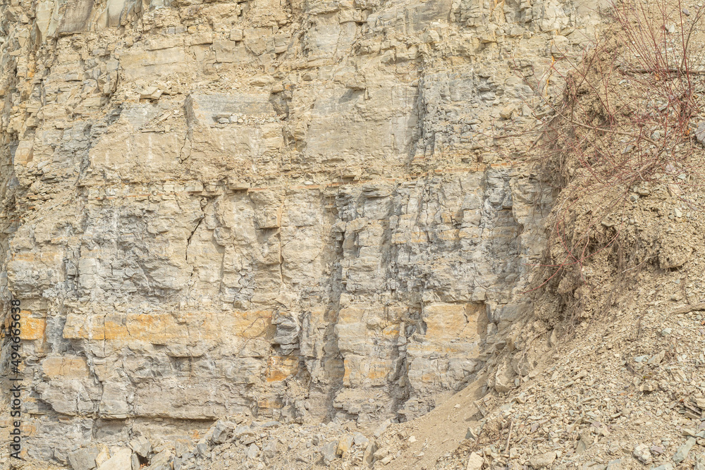 Silurian limestone cut of a rock at a quarry. Silurian limestone cut of a rock at a quarry.