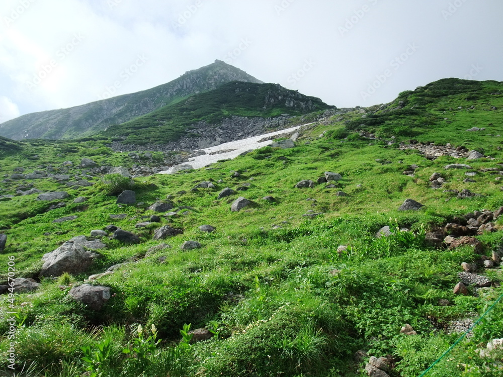 Fototapeta premium 立山 登山道の風景