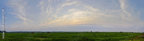 Panorama of the bright morning sky and a flat field covered with green grass