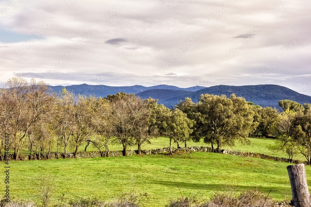 Meadow with beautiful trees and mountains in the background on a cloudy spring day Meadow with beautiful trees and mountains in the background on a cloudy spring day