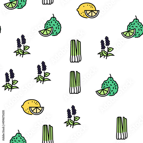 Aromatherapy Herbs Vector Seamless Pattern Thin Line Illustration