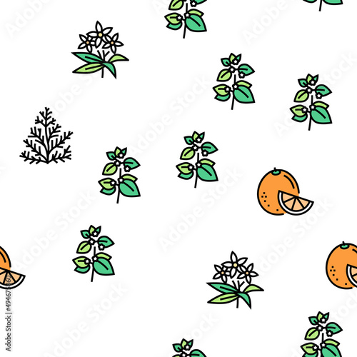 Aromatherapy Herbs Vector Seamless Pattern Thin Line Illustration