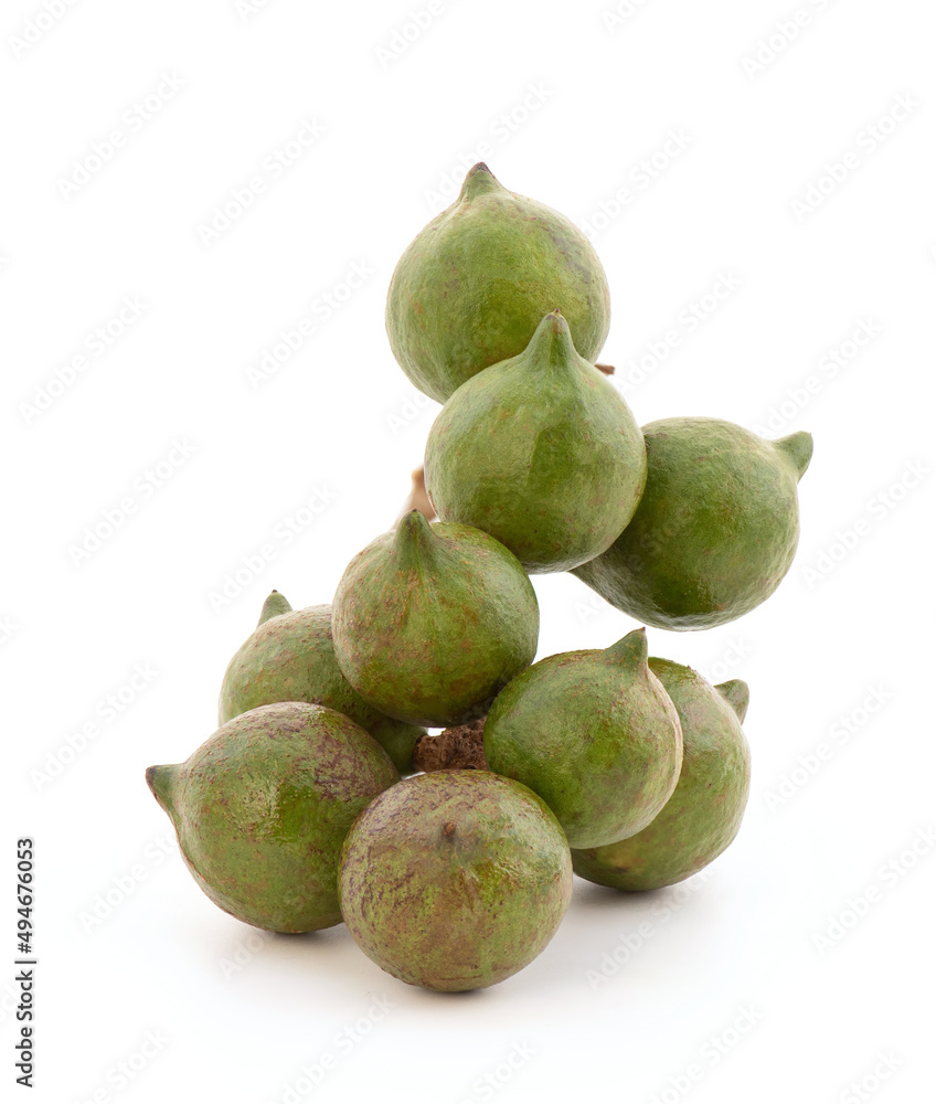 Macadamia fruits isolated on white background. Macadamia fruits isolated on white background.