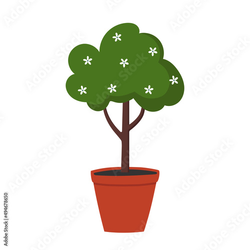 Small tree with flowers in the pot. Decorative tree for home or garden.