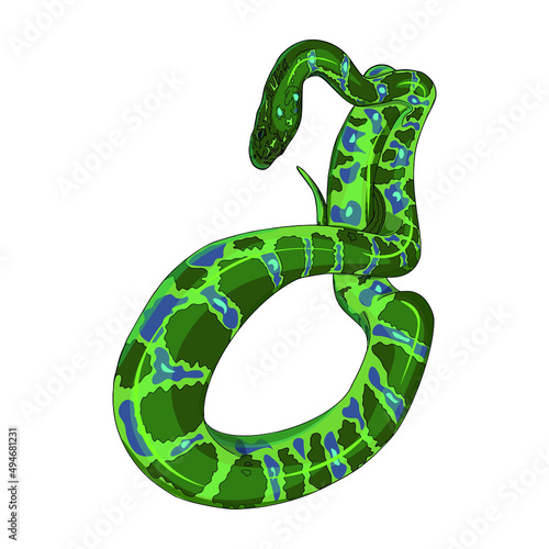 Isolated vector illustration of a snake on a white background. Boa constrictor as a blank for designers, printing on clothing, packaging, logo, icon