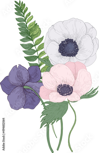 Anemone Flowers Vintage Hand Drawn Illustration