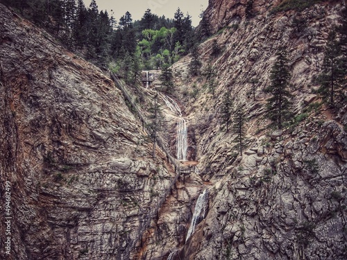 Fotografie pine tree trunk
