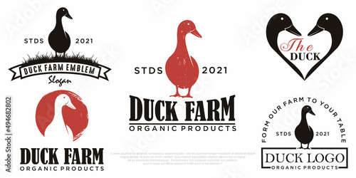 Abstract duck icon set logo template design.