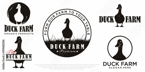 collection of vector animal logos. Duck design Vector
