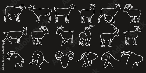 Set of goat vector illustration with simple line design suitable for icon or logo