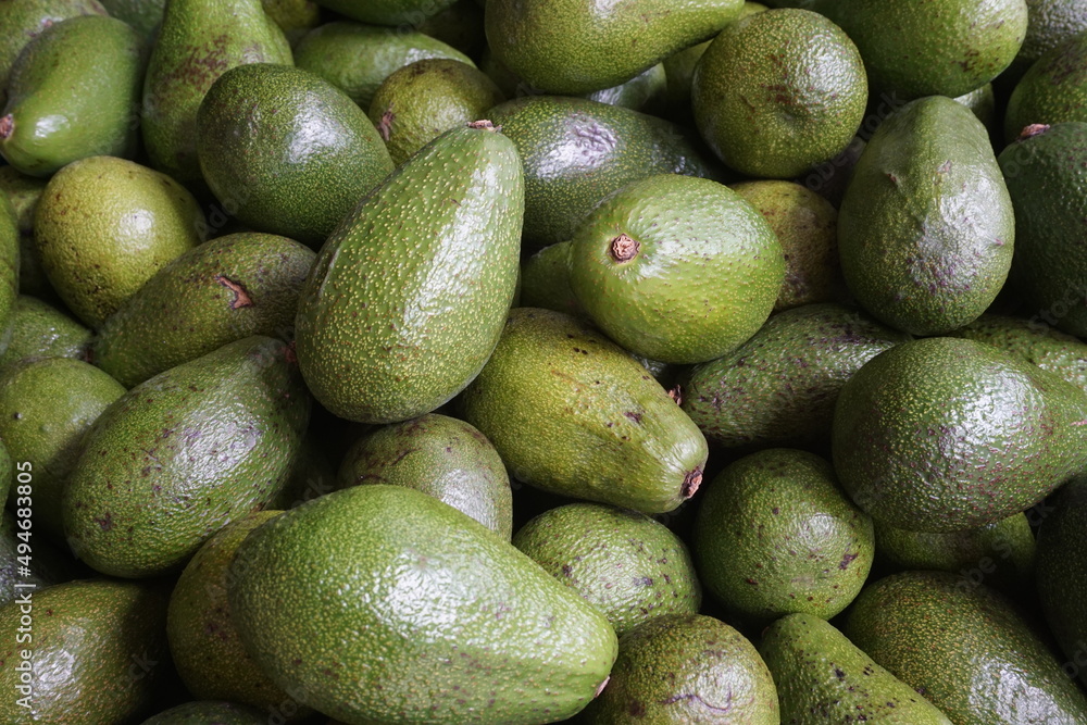 stacked avocado fruits, close up stacked avocado fruits, close up