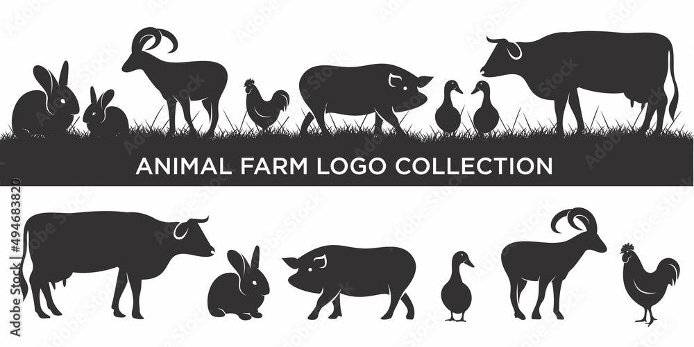 Obraz premium set of livestock logo inspiration. Farm animal design template. Vector illustration concept
