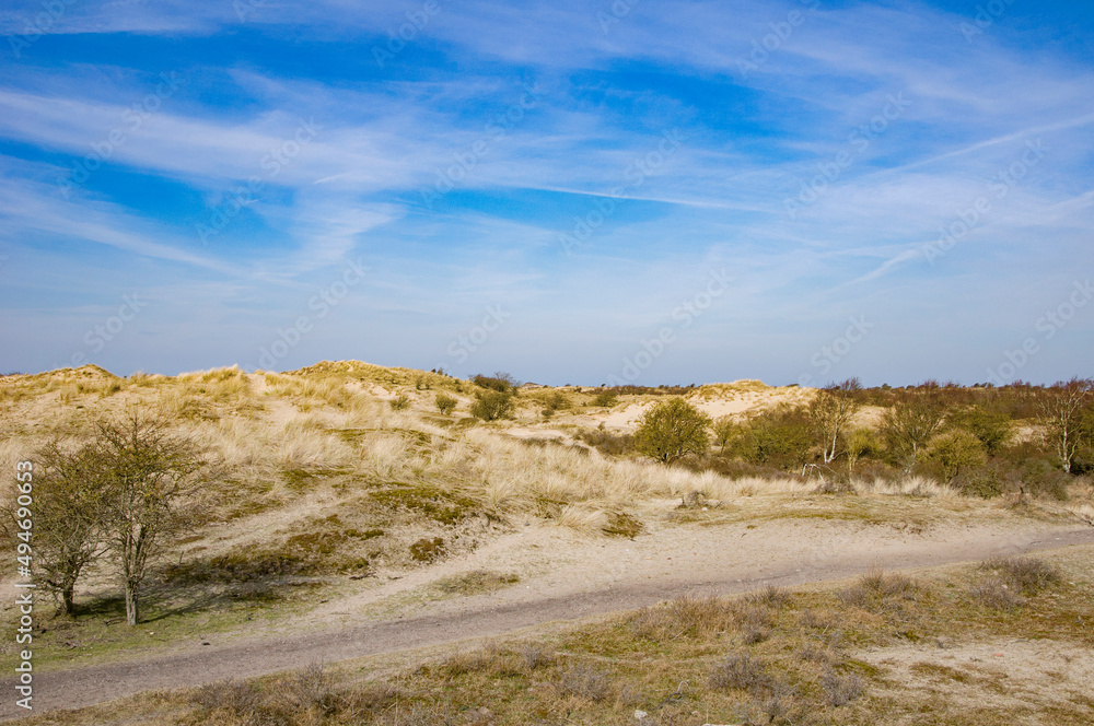 Dunes in Netherlands. Beautiful spring landscape.