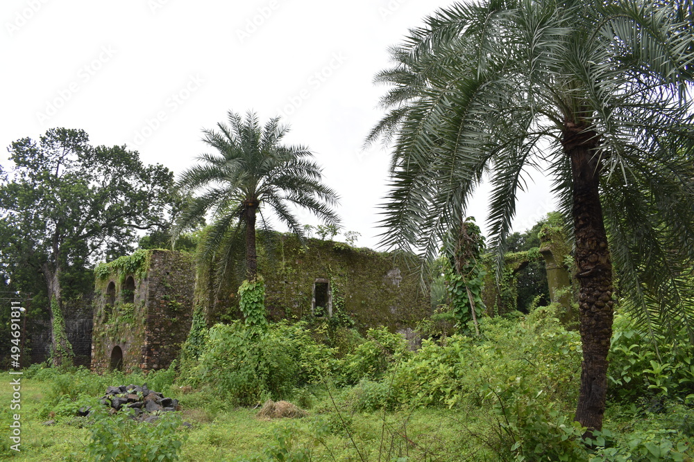 ruin of vasai fort mumbai, india 