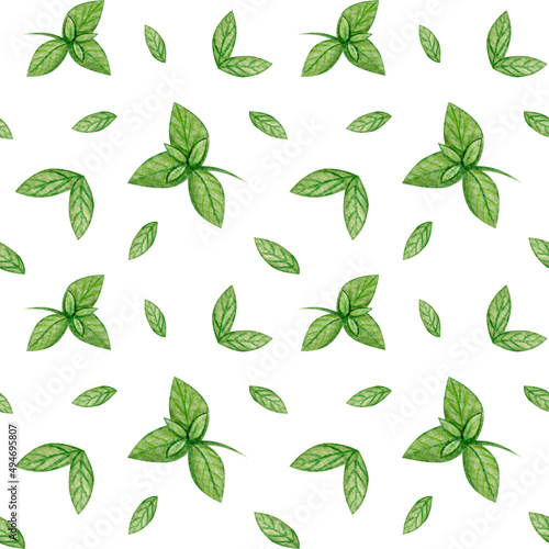 Colorful seamless pattern with mint leaves. Watercolor hand drawn design