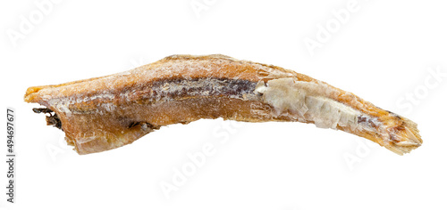 single dried anchovy fish isolated on white photo