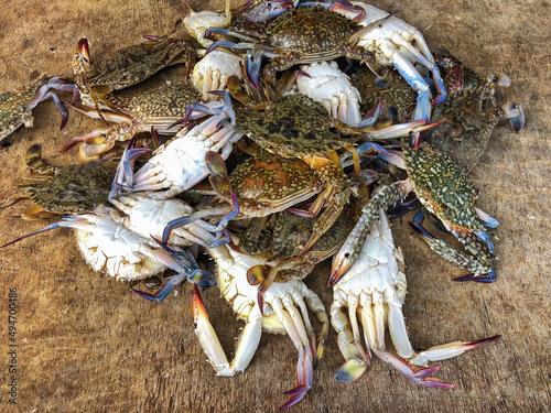 heaps of fresh raw or uncooked crabs on table photo