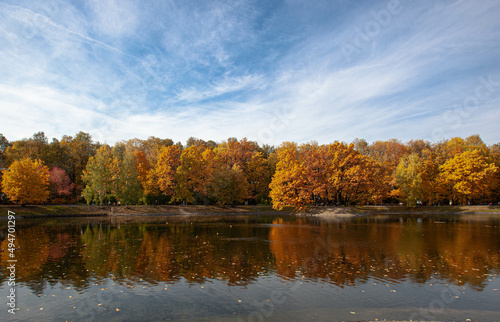 autumn in the park