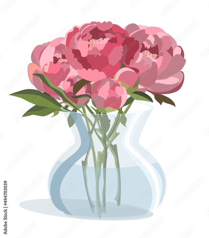 Bunch of pink peonies in round glass vase with water. Isolated on white background