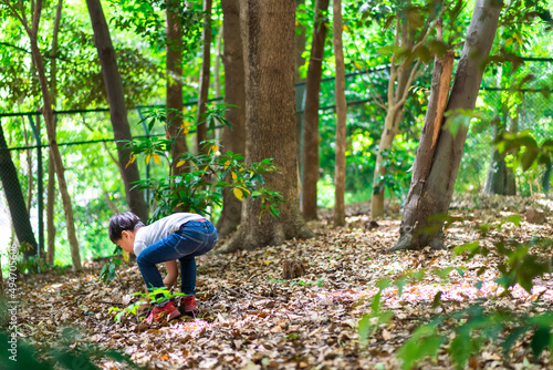 山で遊ぶ小さな男の子