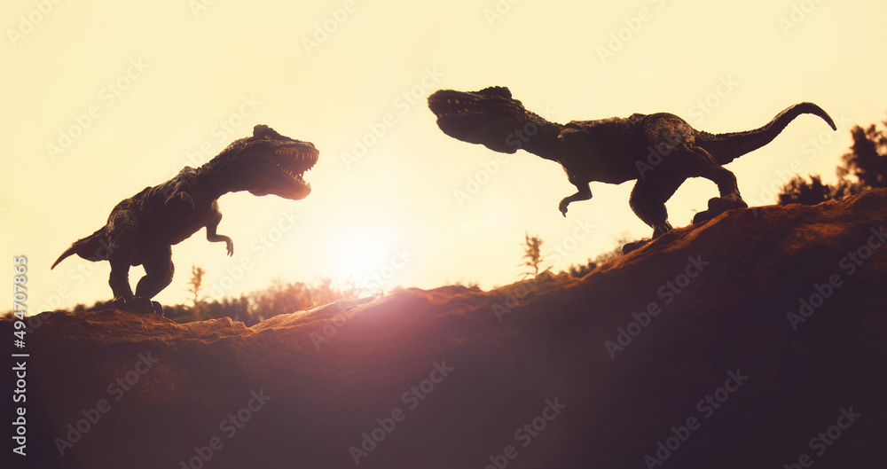 Fototapeta premium Two Tyrannosaurus Rex dinosaurs fighting on a cliff