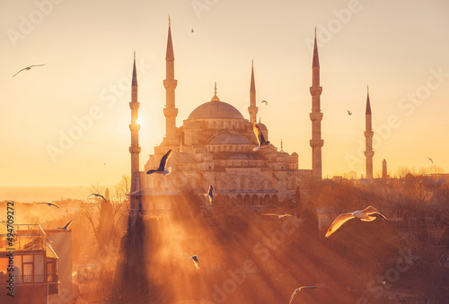 Blue Mosque (Sultanahmet Camii) at sunset. Istanbul, Turkey. Seagulls on the background of sunset. The landmark of Istanbul.