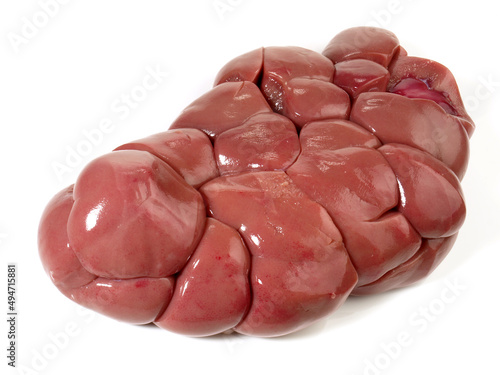 Fresh Veal Kidney isolated on white Background photo