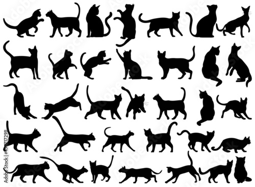 cats set silhouette isolated vector