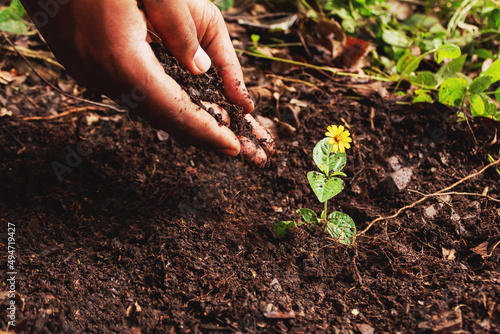 mano echando arena en el suelo para plantar una flor en la naturaleza ayudando el planeta photo