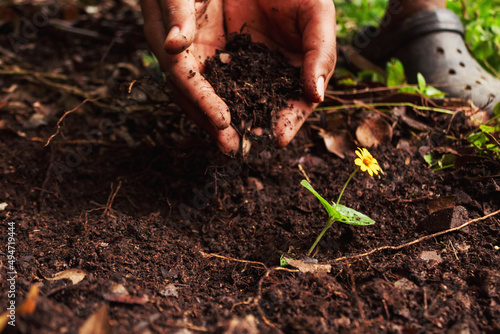 mano echando arena en el suelo para plantar una flor en la naturaleza ayudando el planeta