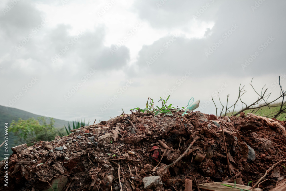 destrucción de naturaleza y escombros con plantas encima destrucción de naturaleza y escombros con plantas encima
