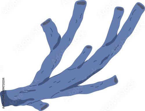 Underwater Coral Colored Illustration