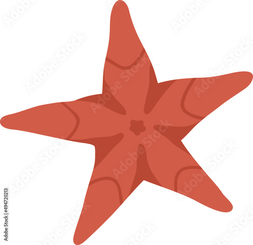 Sea Starfish Colored Illustration