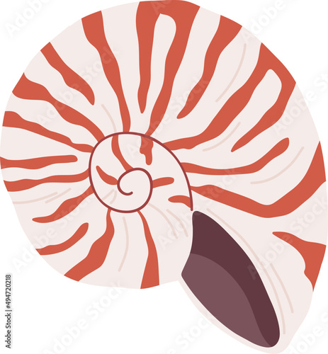 Beautiful Shell Colored Illustration