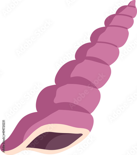 Marine Shell Colored Illustration