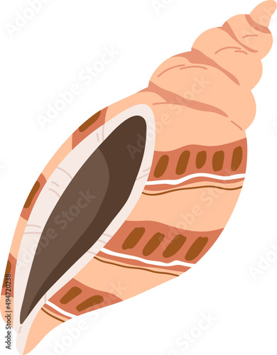 Sea or Ocean Shell Colored Illustration