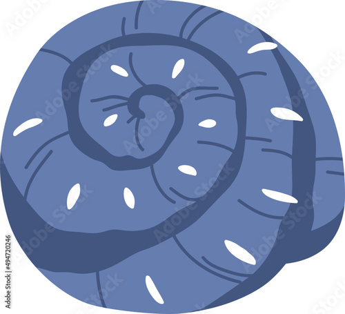 Ocean Seashell Colored Illustration