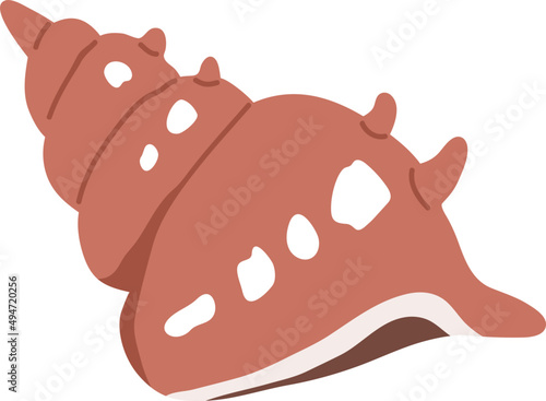 Underwater Shell Colored Illustration