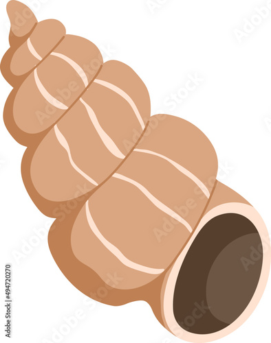 Marine Seashell Colored Illustration