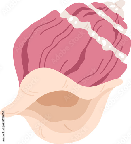 Beautiful Seashell Colored Illustration