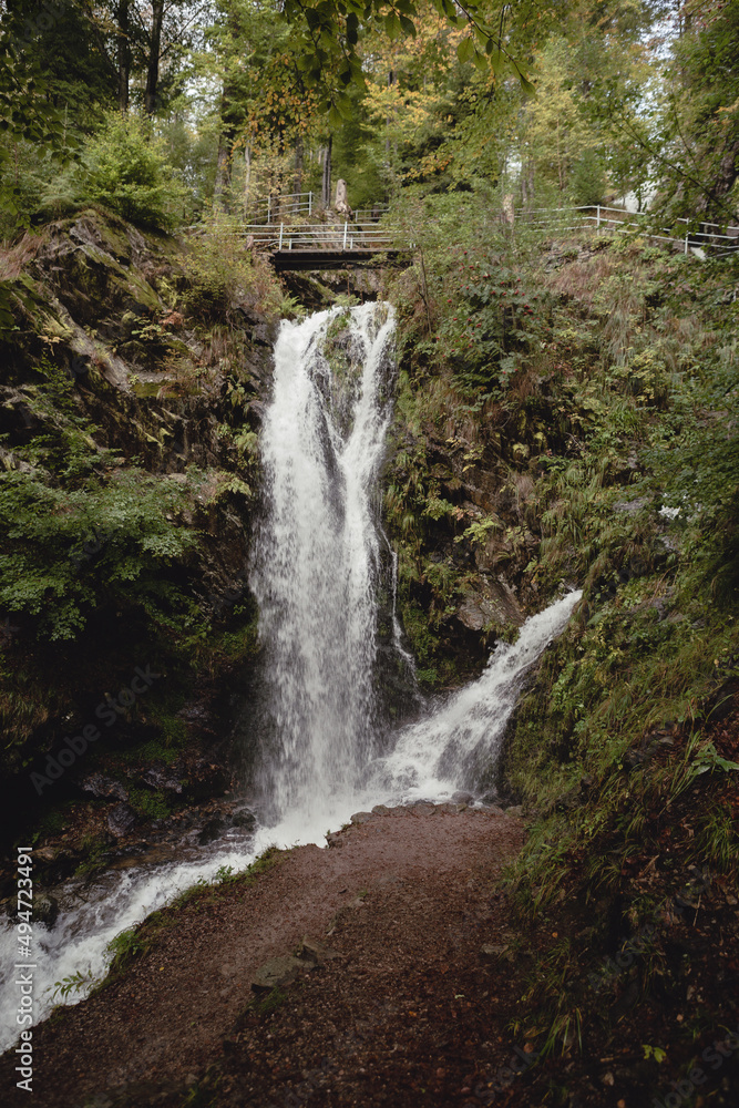 Obraz premium Autumn, Black Forest, Germany