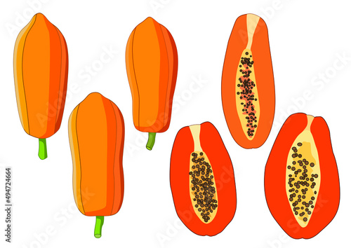 papaya fruit ripe and half isolated on white background illustration vector 