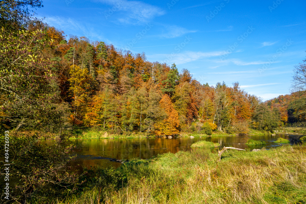 autumn landscape in the forest