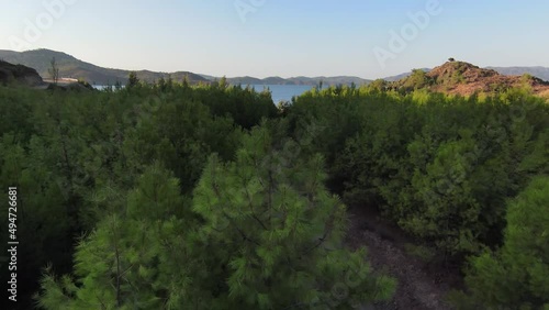 View of the river and forest surrounded by trees. Turkey, Marmaris, Bordubet bay. photo