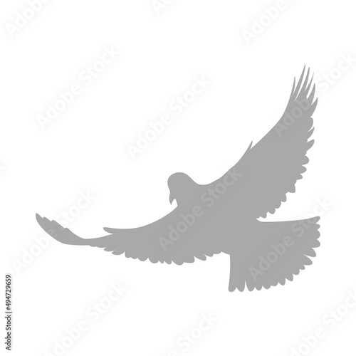 Isolated silhouette of a flying pigeon Vector